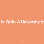 How To Write A University Essay