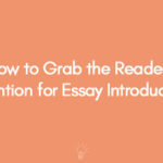 How to Grab the Reader's Attention for Writing An Essay Introduction Paragraph