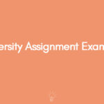 University Assignment Examples
