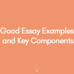 Good Essay Examples and Key Components