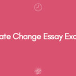 Climate Change Essay A Structured Approach & Example
