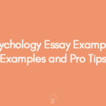 Psychology Essay Example Good Examples and Pro Tips 2024